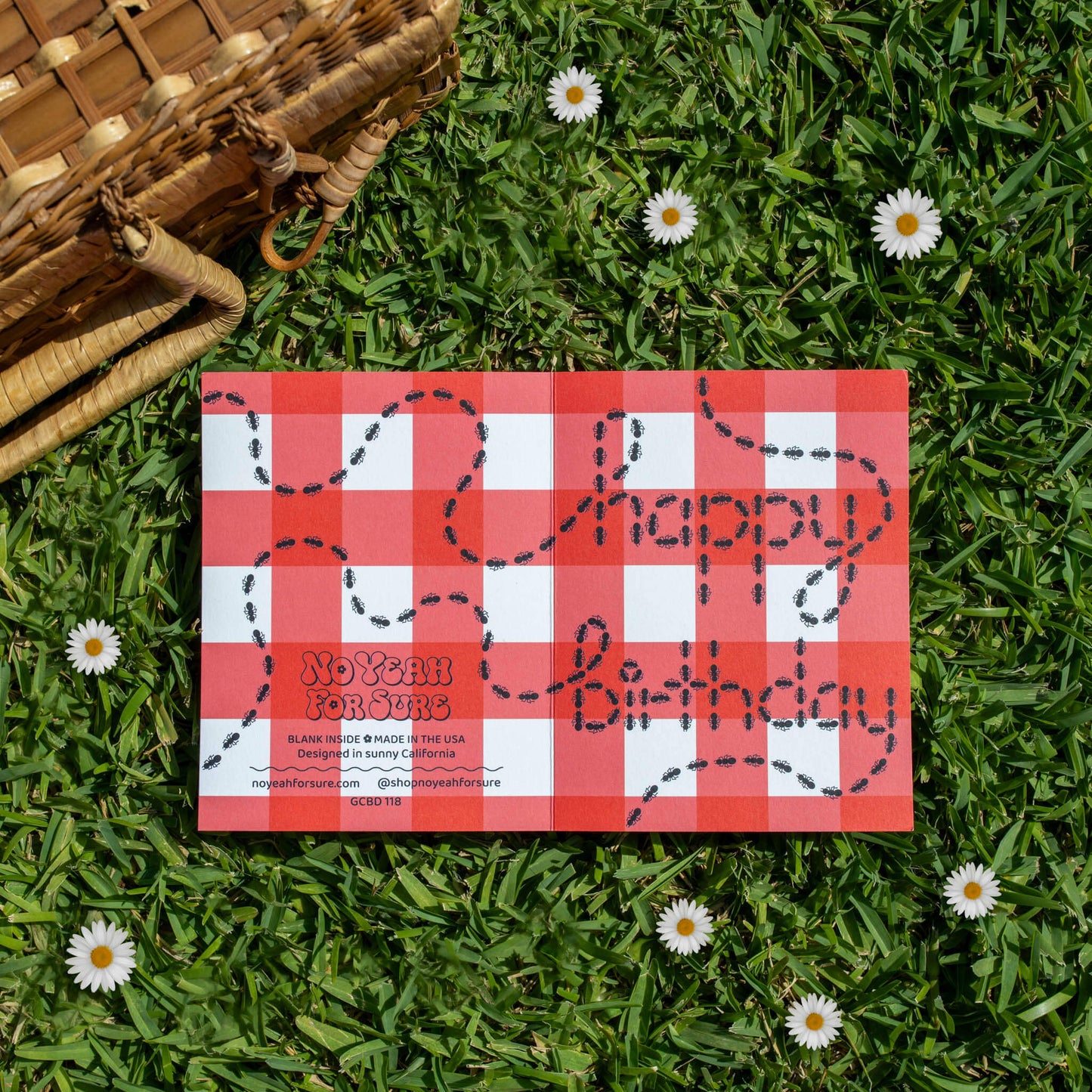 Birthday card with a red and white checker print and graphic that reads "happy birthday" spelled out with drawing of ants, on a grass background.